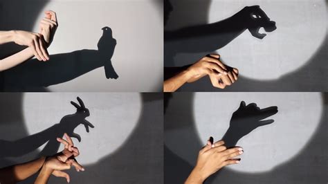 Hand Puppet Shadow Show