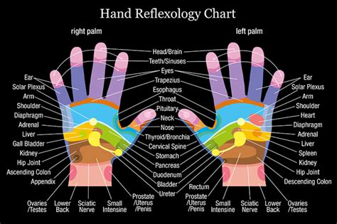 hand reflexology points