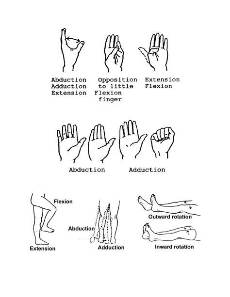 Hand Rom Exercises