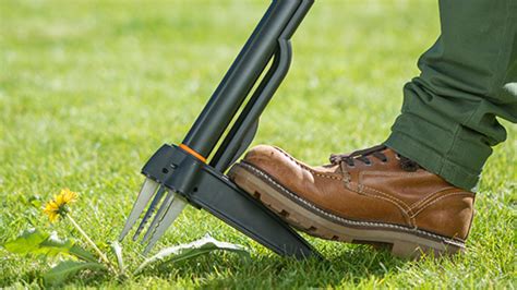 Hand Weeding Tools Bunnings