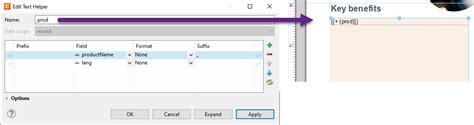 Handlebars Custom Helper Example