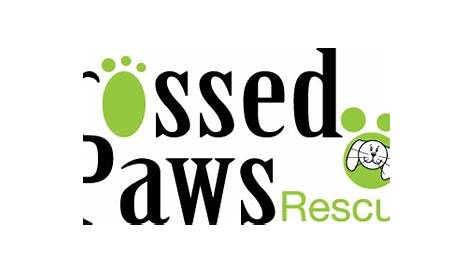 Paws for Life Rescue - YouTube