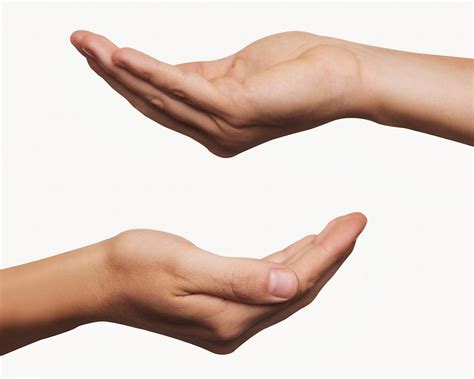 Hands Cupping Therapy Benefits