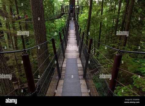 Hanger Suspension Bridge