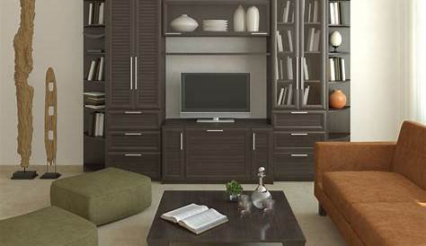 Hanging Cabinet Design For Living Room 8 Essentials You Cannot Ignore