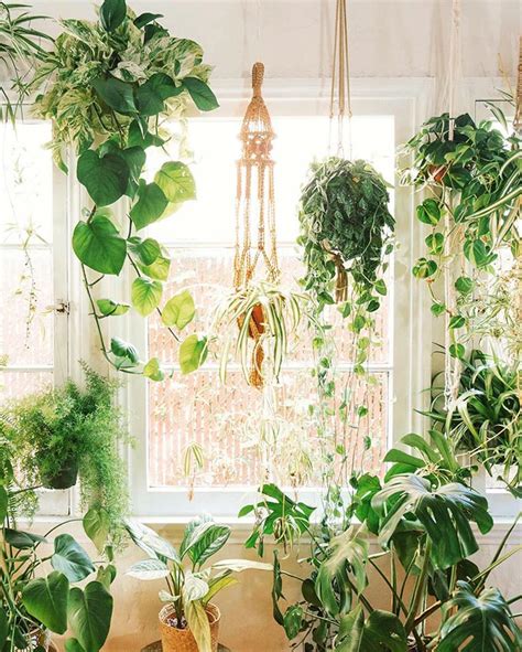 16 Inspiring Indoor Plant Display and Decoration Ideas