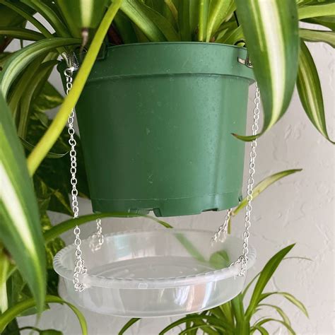 hanging plant drip tray