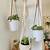 hanging plant holders indoor