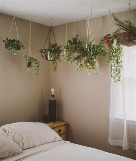 Ivy wall bedroom decor Modern Design in 2020 Room inspiration