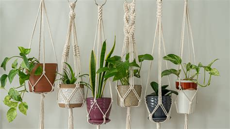 Interior Design Trends on the Rise in 2019 Hanging plant wall