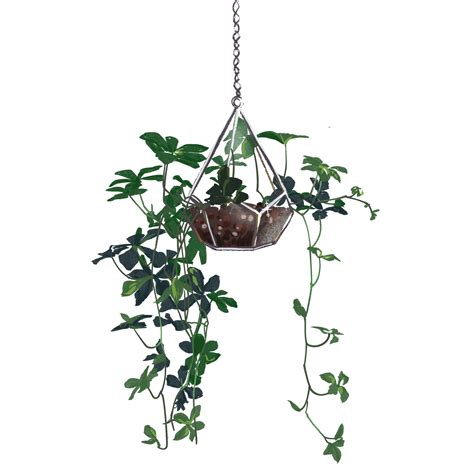 Hanging Plant Png Stock by DLRDesigns on DeviantArt