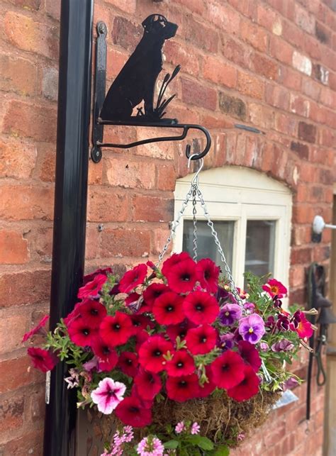 Hanging Basket Bracket Ideas