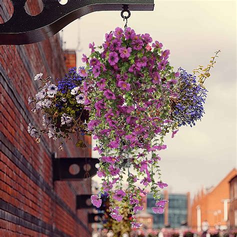 Hanging Basket On Ceiling