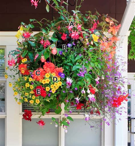 Hanging Baskets For Mostly Shade