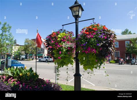 Hanging Baskets Niagara Falls