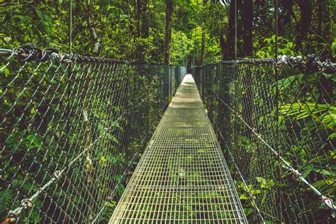 Hanging Bridges Overview
