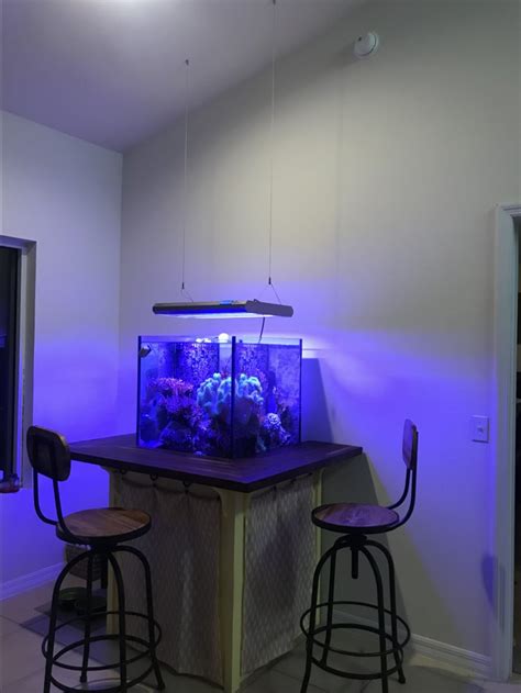 Hanging Lights From Ceiling Reef