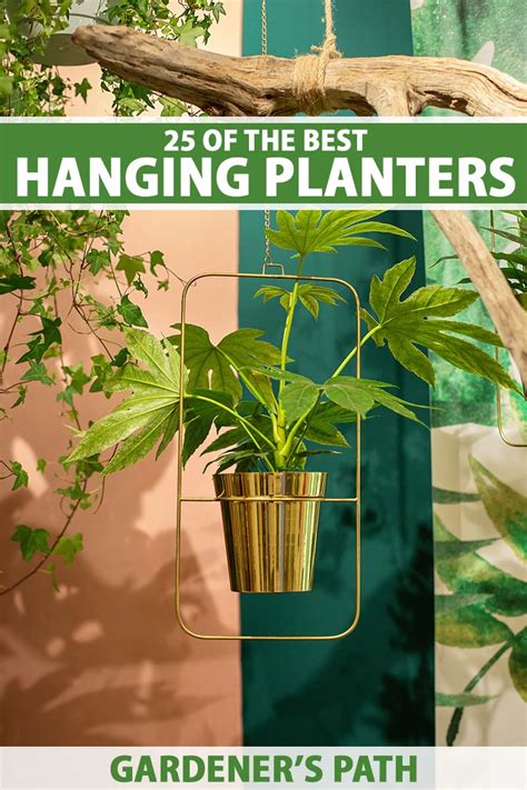 Hanging Planter Options