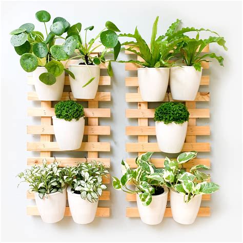 Hanging Planters Wall