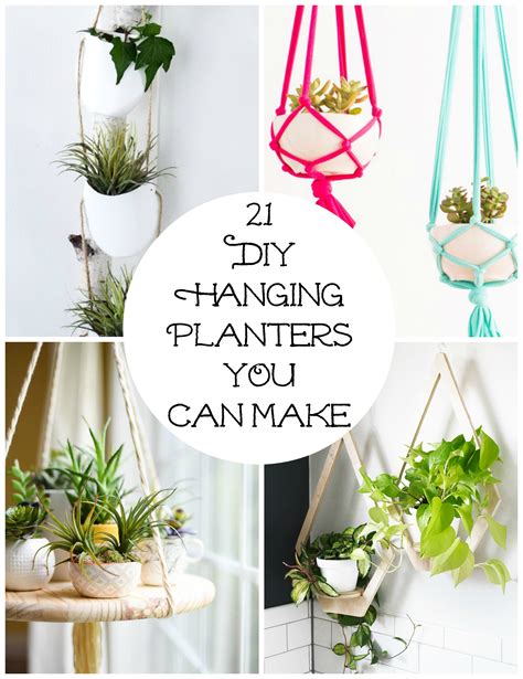Hanging Plants Diy