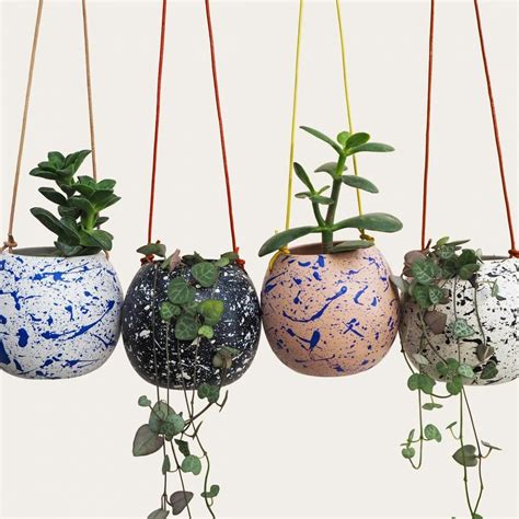 Hanging Pots With Plants