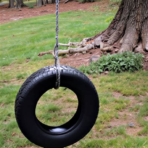 Hanging Tire Swing