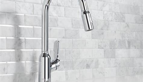 Hansgrohe Focus Premium 1Handle 16inch Tall Stainless