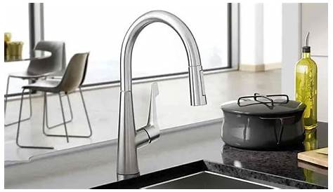 Hansgrohe Talis M Pull Down Kitchen Faucet Installation 04701345 Loop 1.75 GP Build