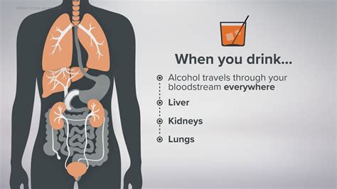 happens to your body when you give up alcohol