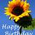 happy birthday sunflowers image