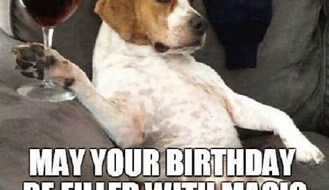 32+ Funny Birthday Memes For Her Wine - Factory Memes