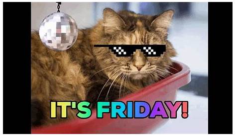 Happy friday cat meme - freeloadsratings
