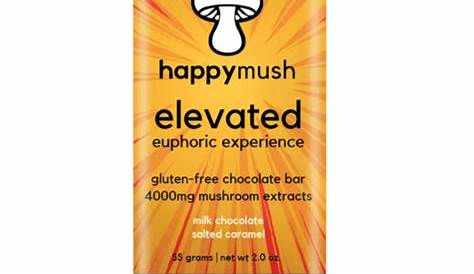 Happy Mush Elevated Chocolate Review