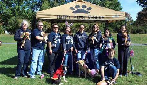 Happy Paws Rescue Inc - Pet Adoption - South Plainfield, NJ - Reviews