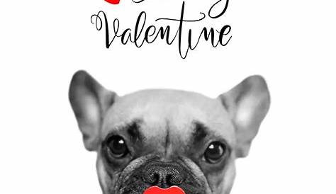 Happy Valentines Day Boyfriend Funny Best 120+ Romantic Valentine Messages For