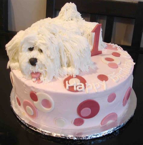 happy birthday cake dog images