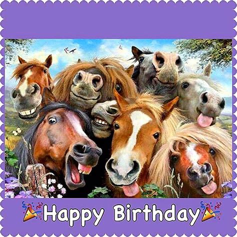Birthday Card for girl friend horse lover equestrian Etsy Happy