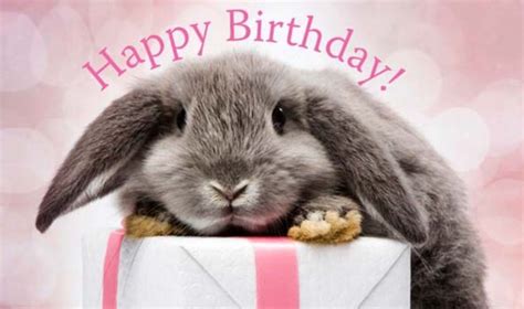 happy birthday with bunnies
