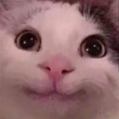 happy cat meme face