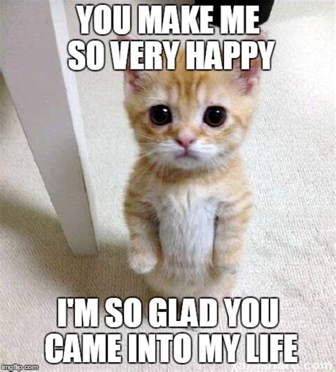 happy cat meme image