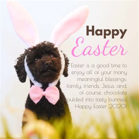 happy easter from the dog