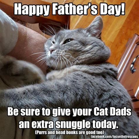 happy fathers day cat meme