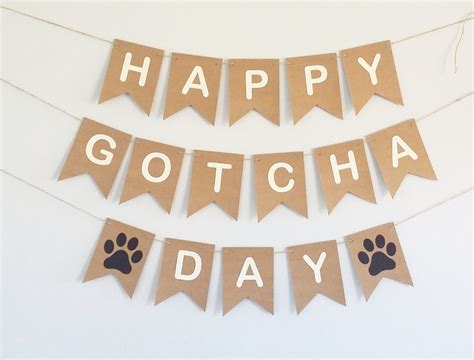 Happy Gotcha Day