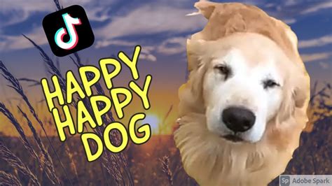 happy happy happy dog tiktok