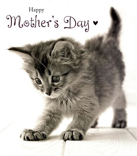 happy mother's day cats images