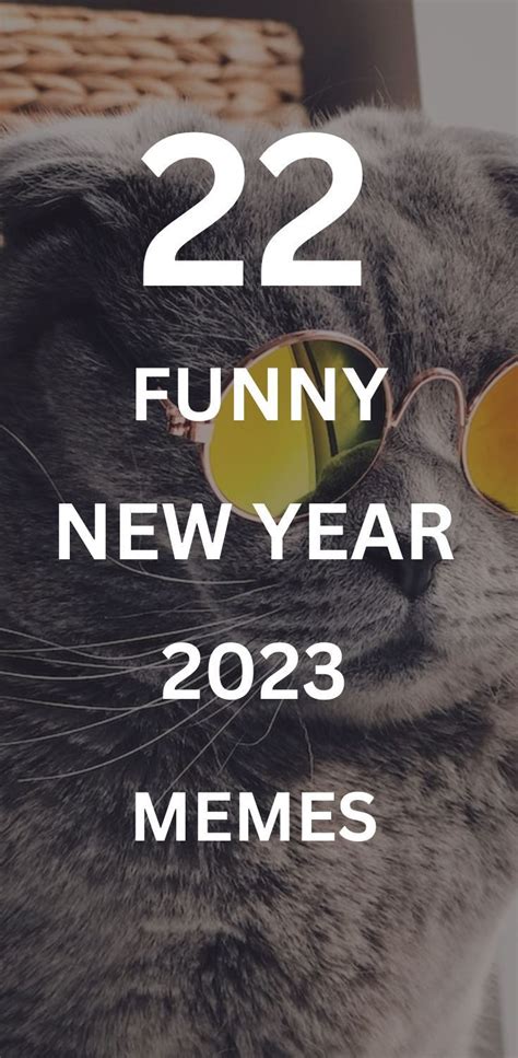 happy new year 2023 meme funny