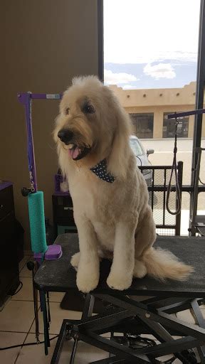 Happy Paws Locations