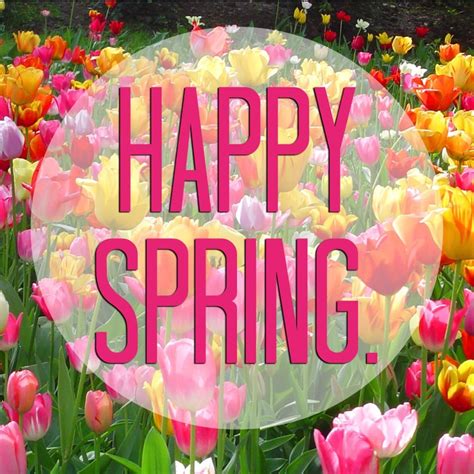 Happy Spring Image Free