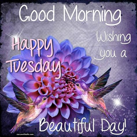 happy tuesday beautiful people images