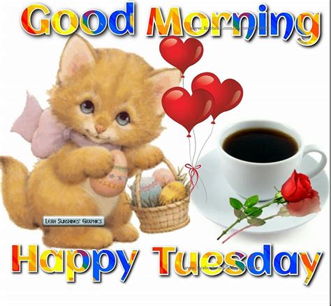 happy tuesday images cute
